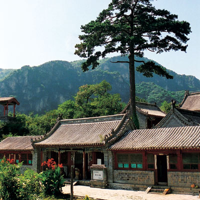 ���c�{�L���D