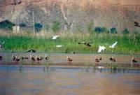 �L�����o�^(q��)