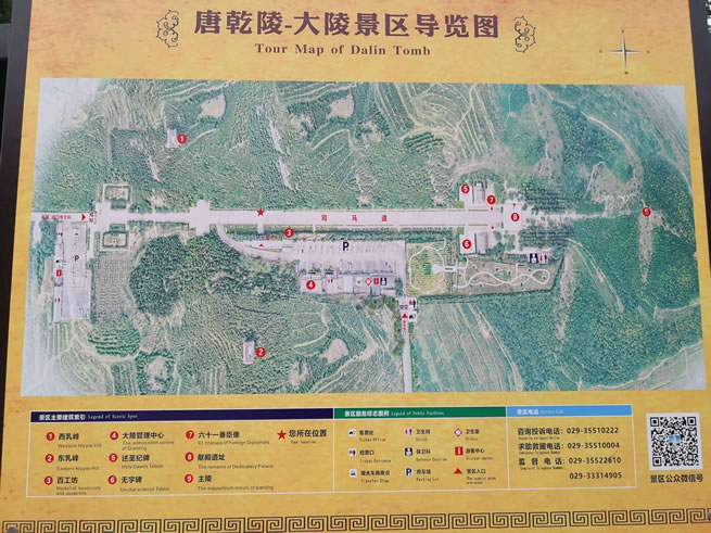 Ǭ�ꌧ(d��o)�ΈD