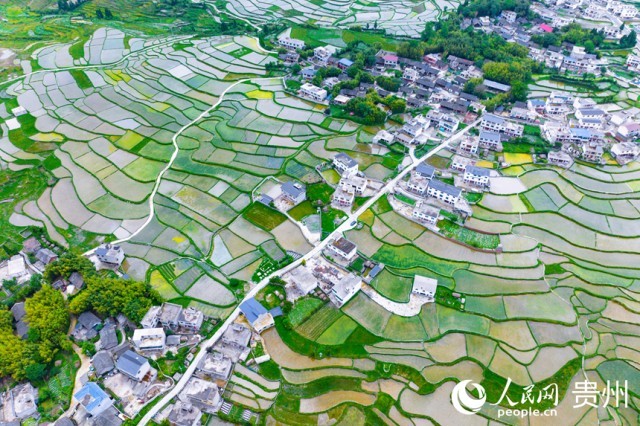 �����F��л�Ϫ�^(q��)��������������W(w��ng)ӛ�� Ϳ���z